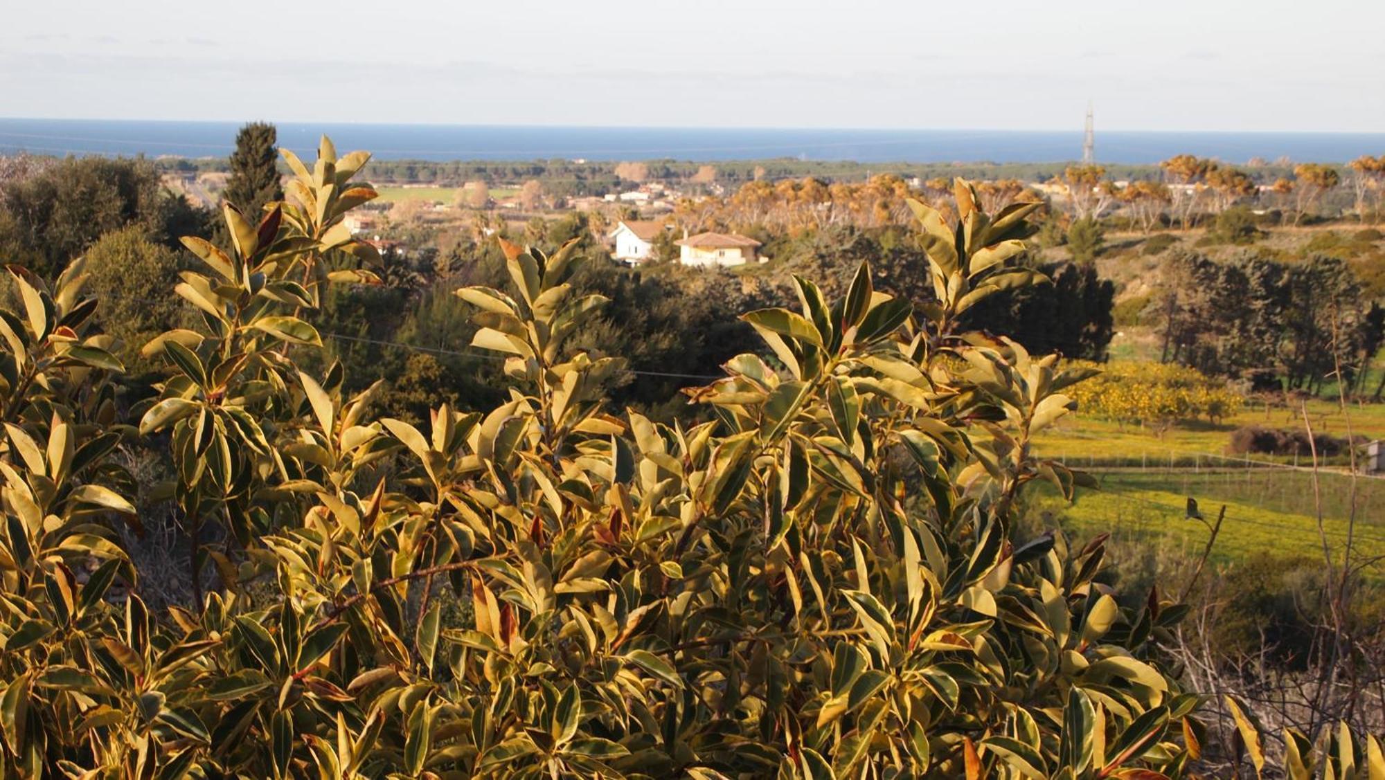 Asinara Villa Sassari Dış mekan fotoğraf