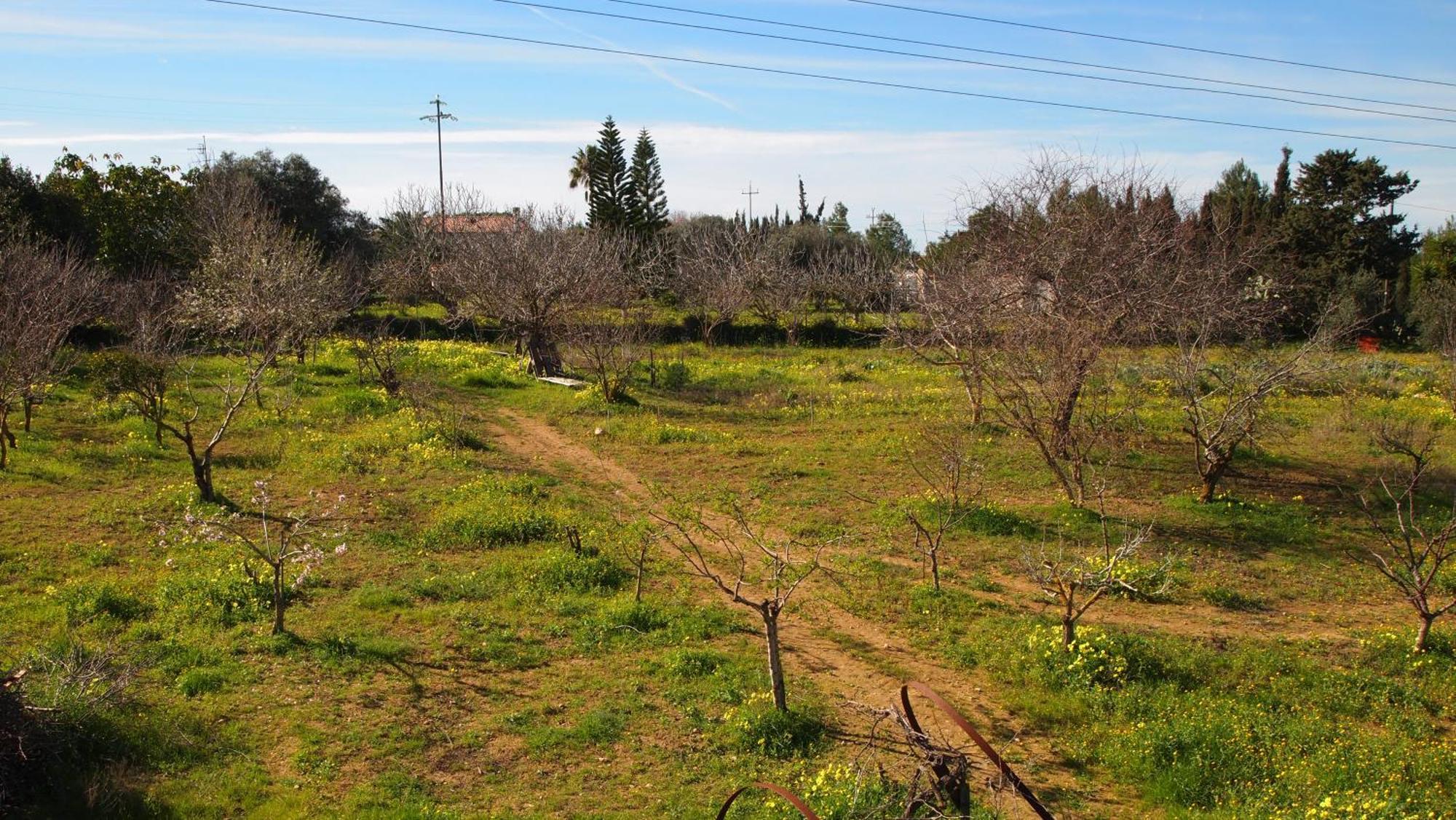 Asinara Villa Sassari Dış mekan fotoğraf